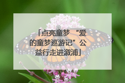 点亮童梦 “爱的童梦巡游记”公益行走进溆浦