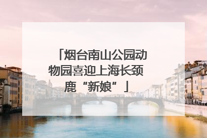 烟台南山公园动物园喜迎上海长颈鹿“新娘”