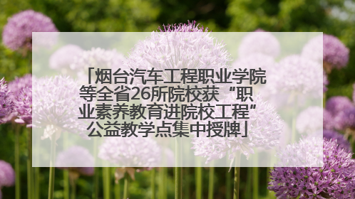 烟台汽车工程职业学院等全省26所院校获“职业素养教育进院校工程”公益教学点集中授牌