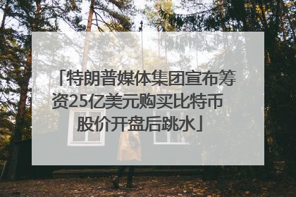 特朗普媒体集团宣布筹资25亿美元购买比特币 股价开盘后跳水
