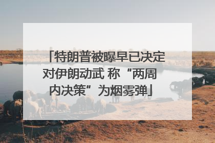 特朗普被曝早已决定对伊朗动武 称“两周内决策”为烟雾弹
