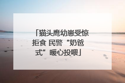 猫头鹰幼崽受惊拒食 民警“奶爸式”暖心投喂