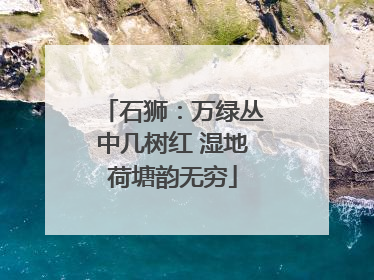 石狮：万绿丛中几树红 湿地荷塘韵无穷