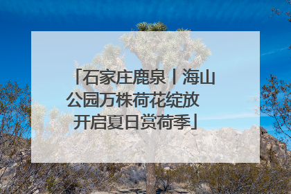 石家庄鹿泉丨海山公园万株荷花绽放 开启夏日赏荷季