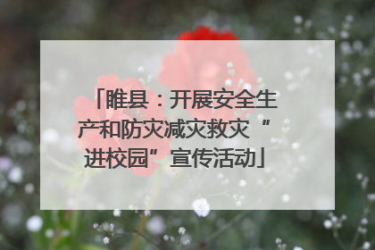 睢县：开展安全生产和防灾减灾救灾“进校园”宣传活动