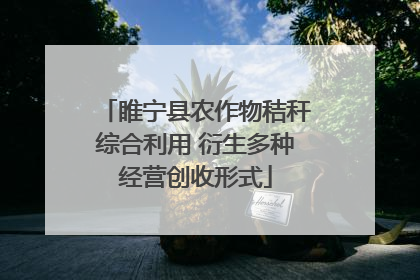 睢宁县农作物秸秆综合利用 衍生多种经营创收形式
