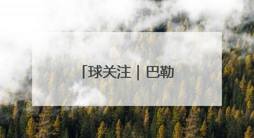 球关注｜巴勒斯坦代表掩面痛哭，加沙的真实现状让人痛心