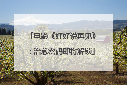 电影《好好说再见》：治愈密码即将解锁