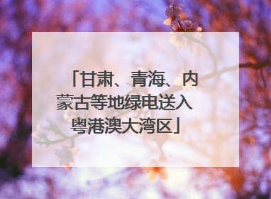 甘肃、青海、内蒙古等地绿电送入粤港澳大湾区
