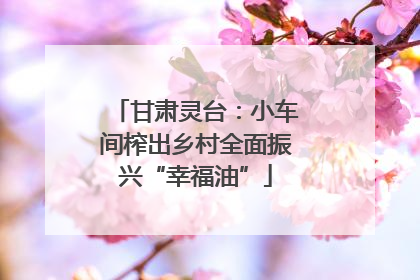 甘肃灵台：小车间榨出乡村全面振兴“幸福油”