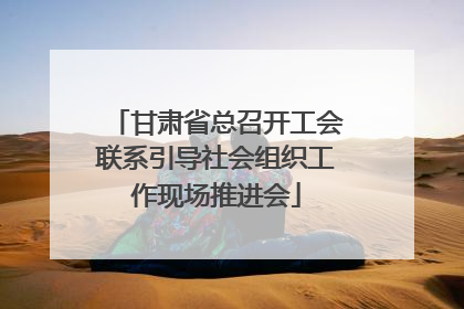 甘肃省总召开工会联系引导社会组织工作现场推进会