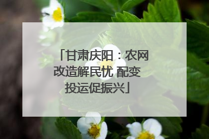 甘肃庆阳：农网改造解民忧 配变投运促振兴