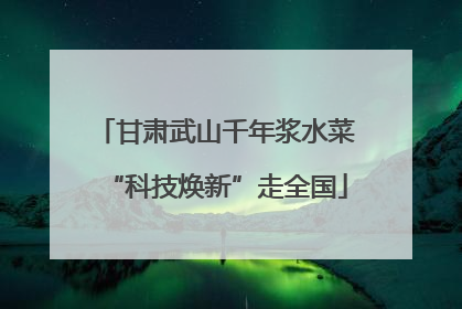 甘肃武山千年浆水菜“科技焕新”走全国