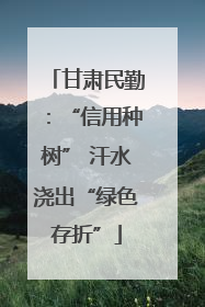 甘肃民勤：“信用种树” 汗水浇出“绿色存折”