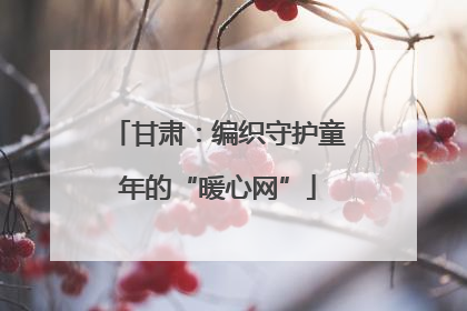 甘肃：编织守护童年的“暖心网”