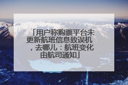 用户称购票平台未更新航班信息致误机，去哪儿：航班变化由航司通知
