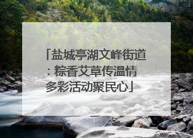 盐城亭湖文峰街道：粽香艾草传温情 多彩活动聚民心