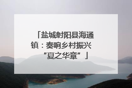 盐城射阳县海通镇：奏响乡村振兴“夏之华章”