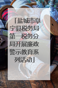 盐城市阜宁县税务局第一税务分局开展廉政警示教育系列活动