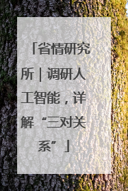 省情研究所｜调研人工智能，详解“三对关系”