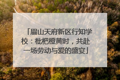 眉山天府新区行知学校：枇杷橙黄时，共赴一场劳动与爱的盛宴