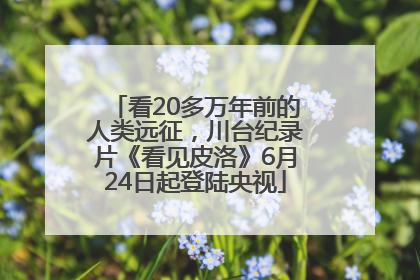 看20多万年前的人类远征，川台纪录片《看见皮洛》6月24日起登陆央视