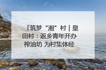 筑梦“湘”村｜皇田村：返乡青年开办榨油坊 为村集体经济“加油”