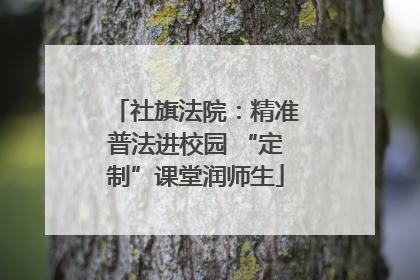 社旗法院：精准普法进校园 “定制”课堂润师生