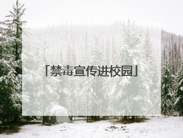 禁毒宣传进校园