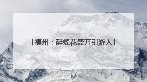 福州：醉蝶花盛开引游人