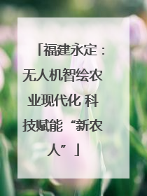 福建永定：无人机智绘农业现代化 科技赋能“新农人”