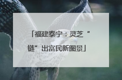 福建泰宁：灵芝“链”出富民新图景