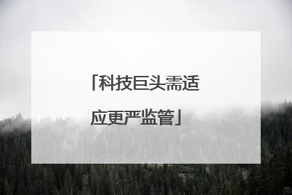 科技巨头需适应更严监管