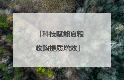 科技赋能夏粮收购提质增效