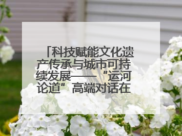 科技赋能文化遗产传承与城市可持续发展——“运河论道”高端对话在京举办