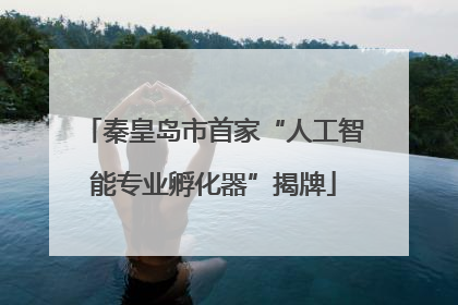 秦皇岛市首家“人工智能专业孵化器”揭牌