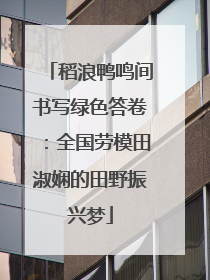 稻浪鸭鸣间书写绿色答卷：全国劳模田淑娴的田野振兴梦