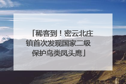 稀客到！密云北庄镇首次发现国家二级保护鸟类凤头鹰