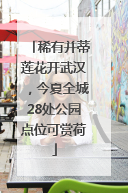 稀有并蒂莲花开武汉，今夏全城28处公园点位可赏荷