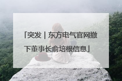 突发｜东方电气官网撤下董事长俞培根信息