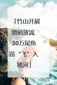 竹山开展增殖放流 30万尾鱼苗“飞”入堵河