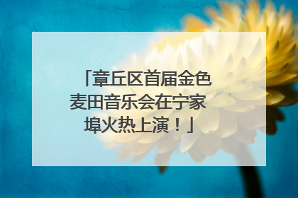 章丘区首届金色麦田音乐会在宁家埠火热上演！