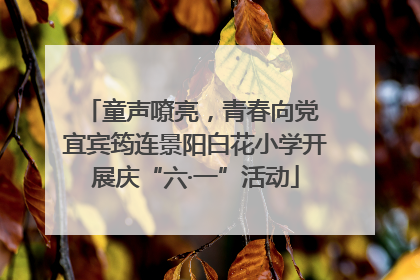 童声嘹亮，青春向党 宜宾筠连景阳白花小学开展庆“六·一”活动
