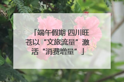 端午假期 四川旺苍以“文旅流量”激活“消费增量”