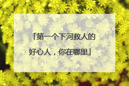 第一个下河救人的好心人，你在哪里