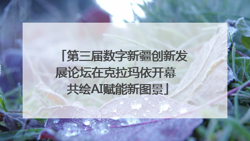 第三届数字新疆创新发展论坛在克拉玛依开幕 共绘AI赋能新图景