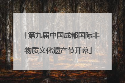 第九届中国成都国际非物质文化遗产节开幕