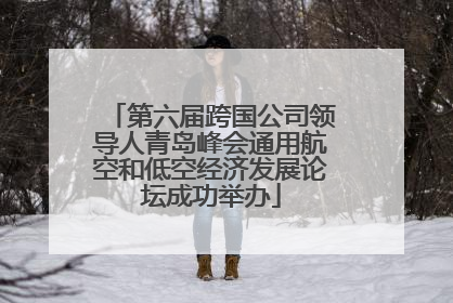 第六届跨国公司领导人青岛峰会通用航空和低空经济发展论坛成功举办