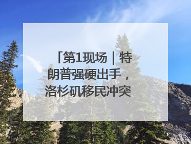 第1现场｜特朗普强硬出手，洛杉矶移民冲突如何破局