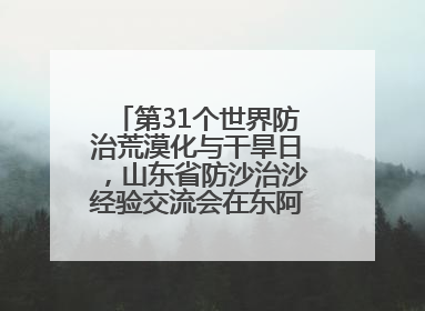 第31个世界防治荒漠化与干旱日，山东省防沙治沙经验交流会在东阿县举办